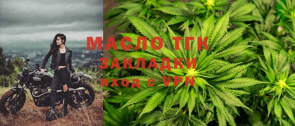 сатива Ачинск