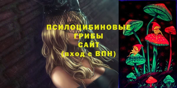 прущие крисы Медвежьегорск