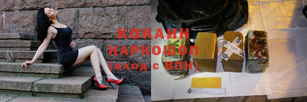 прущие грибы Мегион