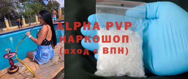 прущие крисы Медвежьегорск
