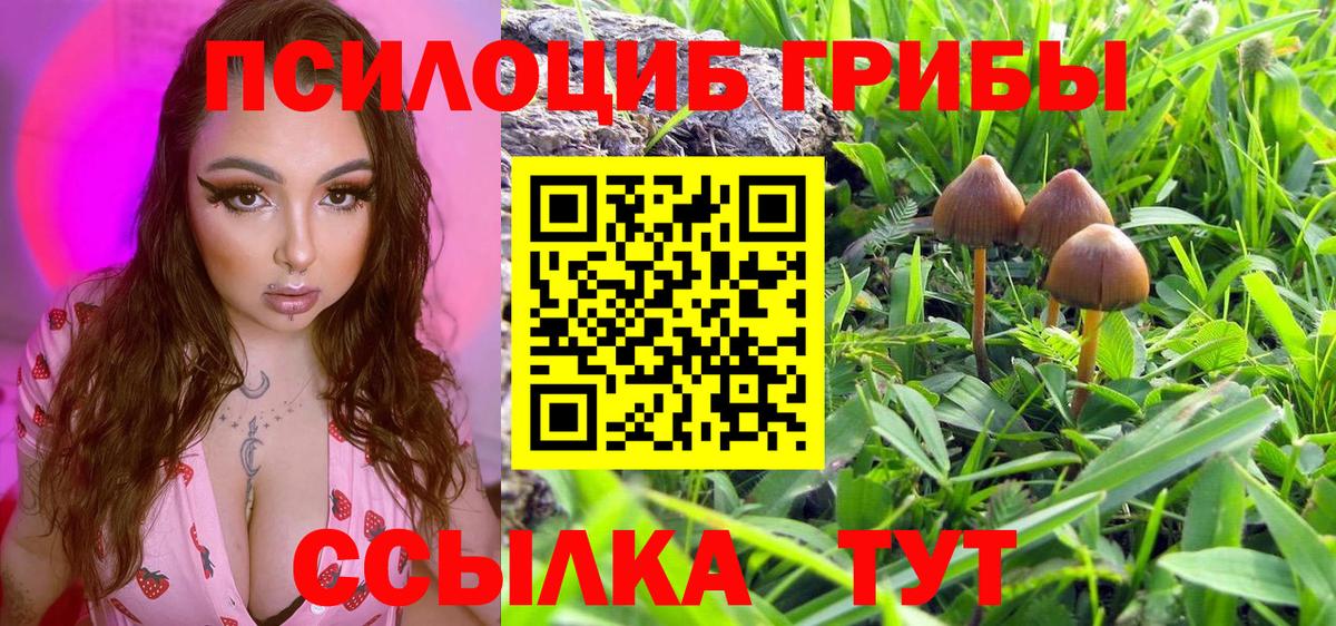 Галлюциногенные грибы мицелий  Владимир 