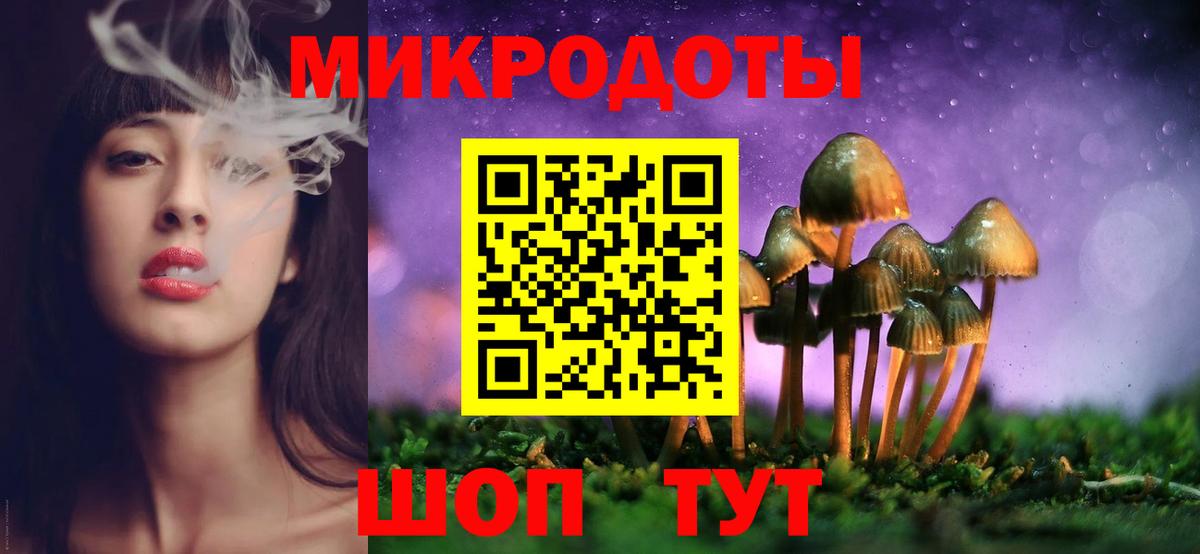 Псилоцибиновые грибы прущие грибы Владимир