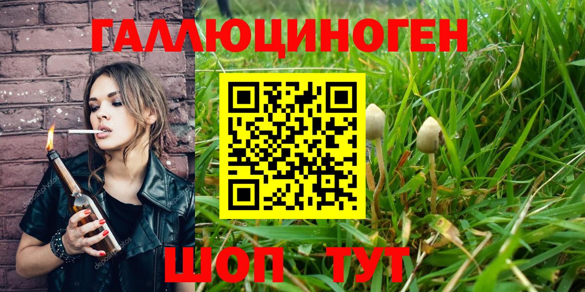 Галлюциногенные грибы Magic Shrooms Владимир